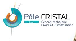 Logo Pole Cristal1